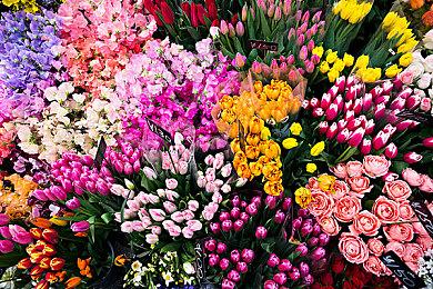 传闻：维塔士正在重制《上古卷轴4：湮没》 最早2024年发售